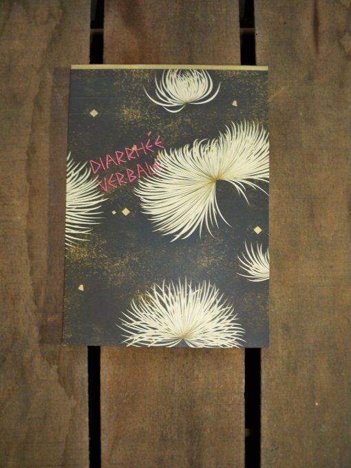 Cahier brodé Diarrhée Verbale