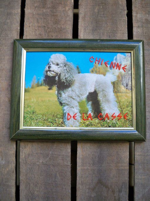 Broderie Chienne de la casse