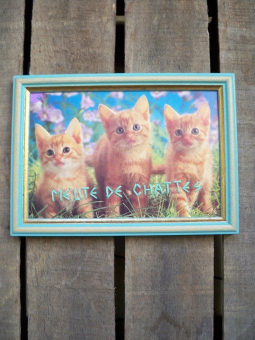 Broderie Meute de chattes
