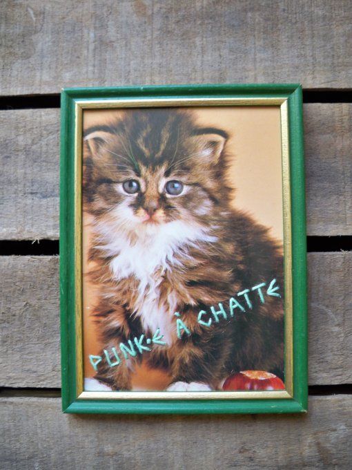 Broderie Punk.e à chatte