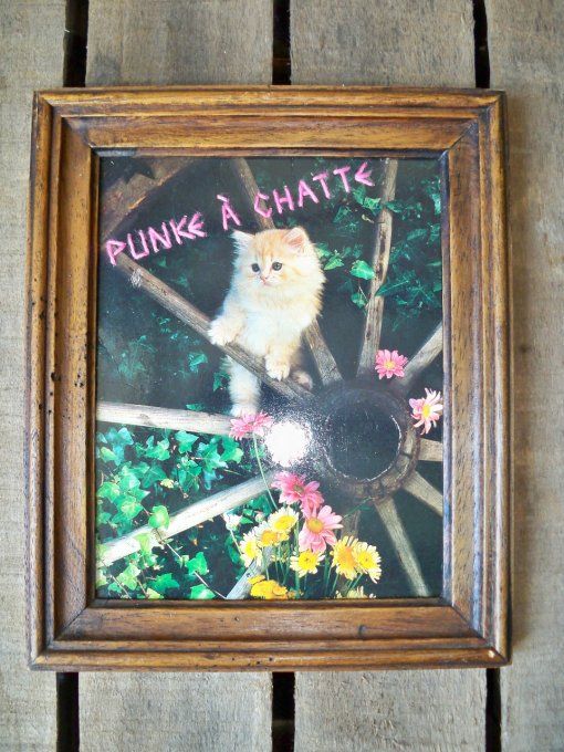 Broderie Punke à chatte