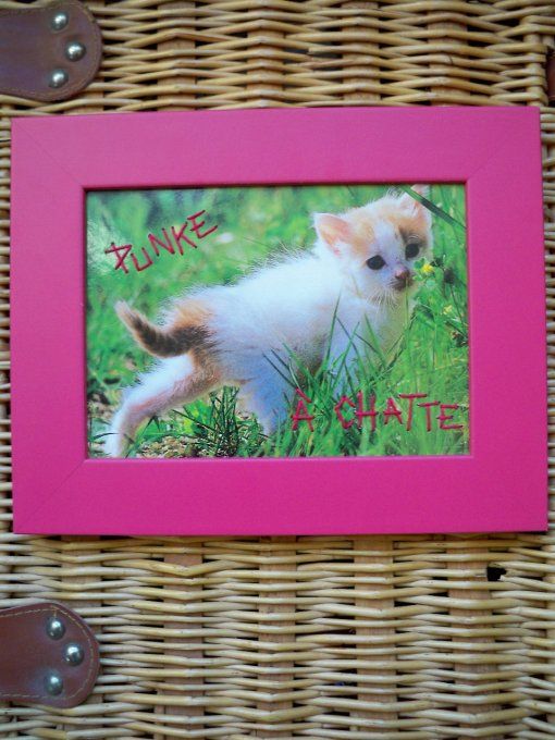 Broderie Punke à chatte