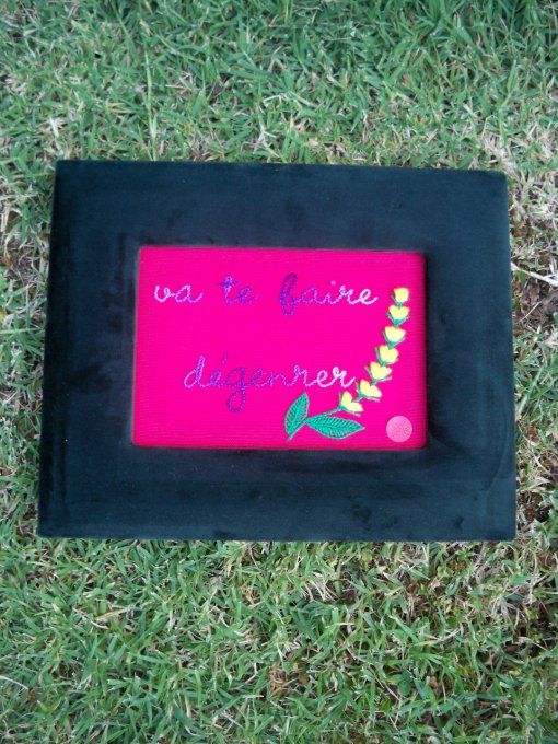 Broderie Va te faire dégenrer