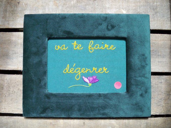 Broderie Va te faire dégenrer